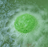 Citrus Soak Fragrance Oil (Diffuser-Friendly) - Craftovator